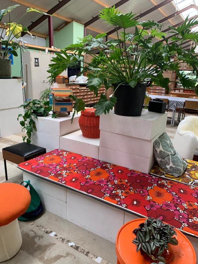 Het Lage Noorden Bed & Breakfast *