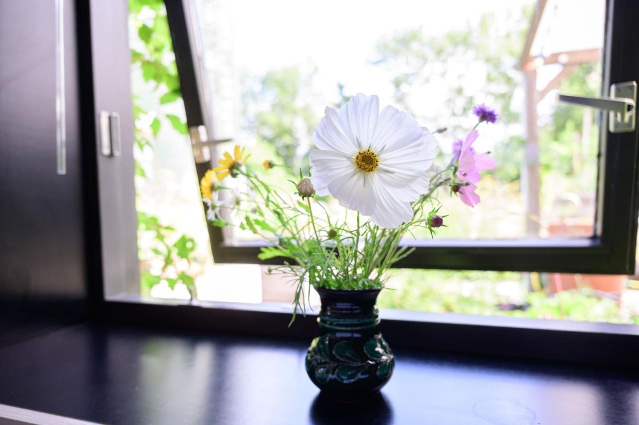 Het Lage Noorden Bed & Breakfast